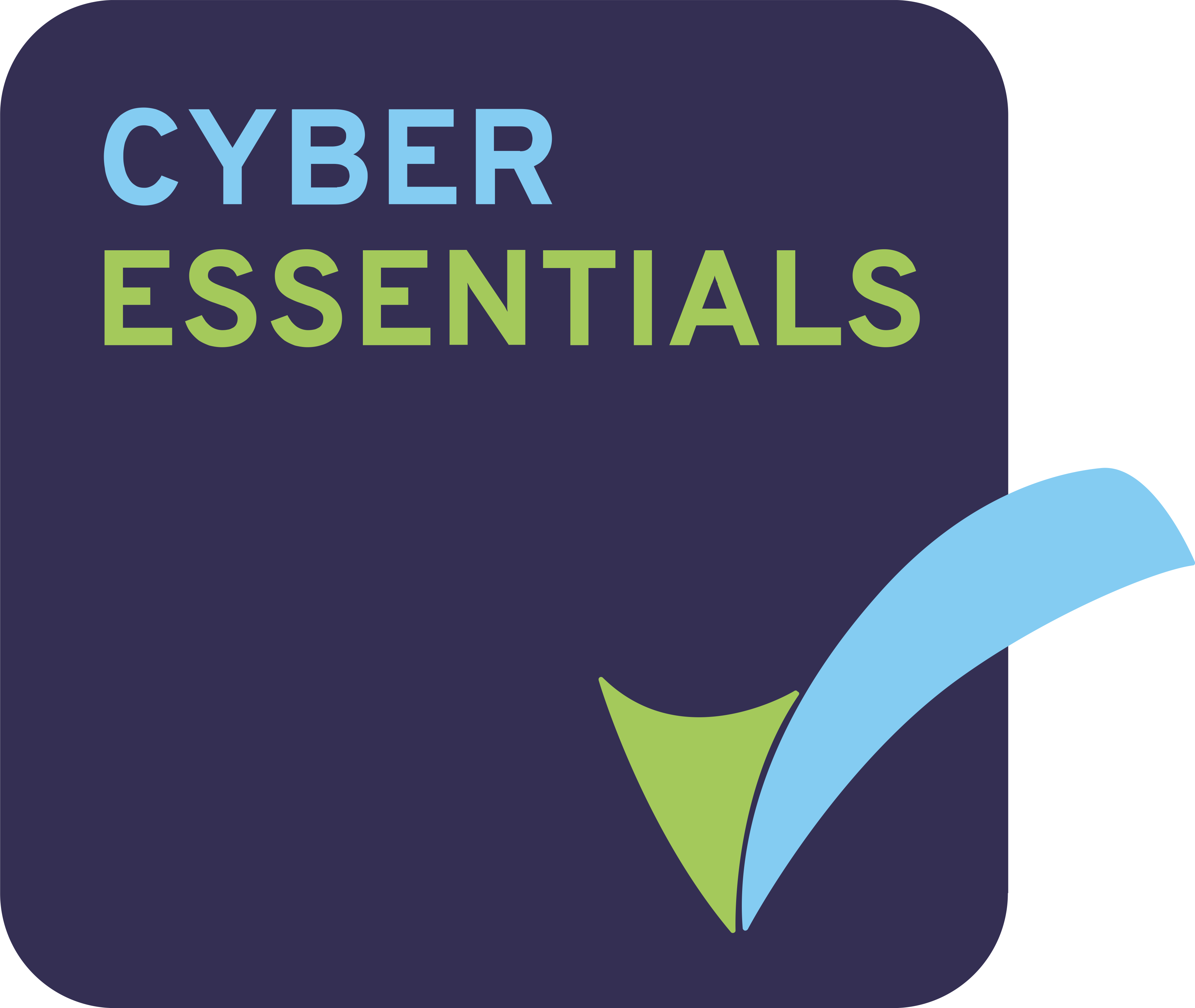 cyber essentials badge high res