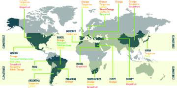 Citrus growing regions around the world