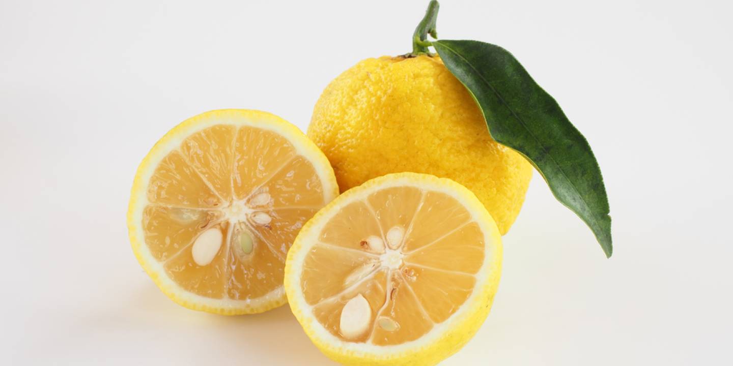 13 Emerging Benefits and Uses of Yuzu Fruit