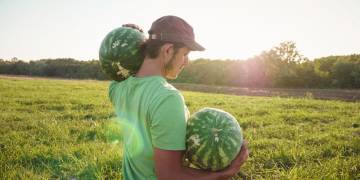 How we’re creating a responsible and sustainable supply chain