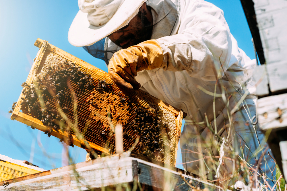 Beekeeper with bees