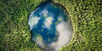 Investing In Our Planet