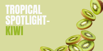 Kiwi: Bold, Bright, Versatile