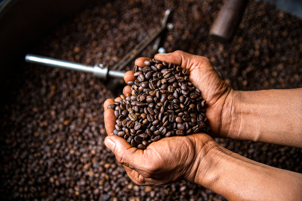 TREATT  Journey of the coffee bean: from seed to cup in 9 steps