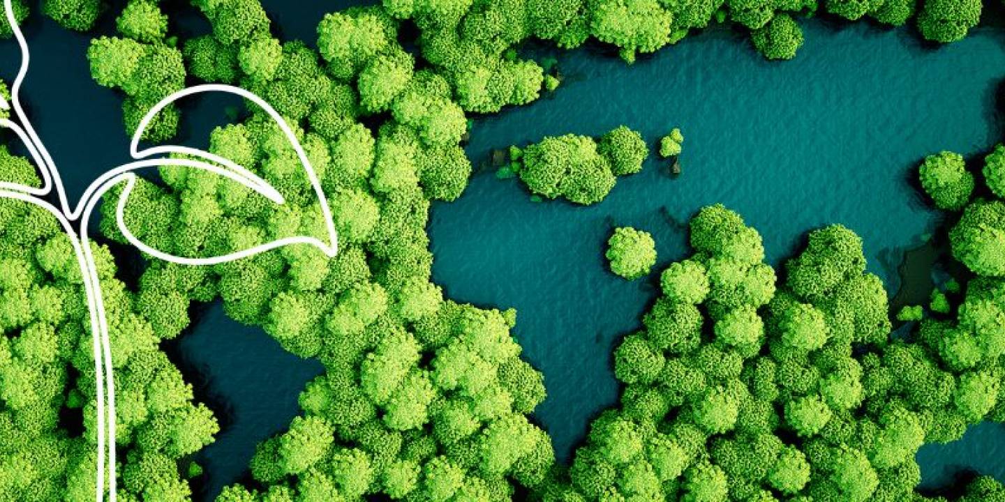 sustainabilityimpact24