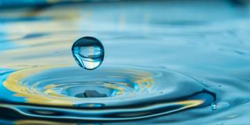 4 ways sustainability flows through our UK Headquarters