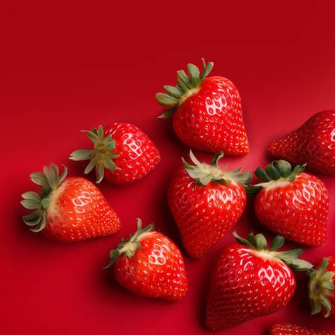 Fruits